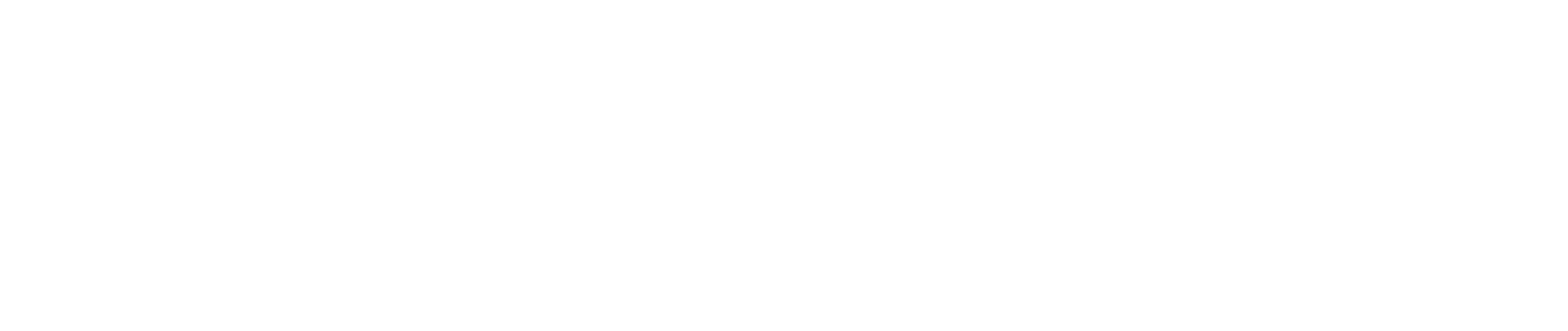 lee spring logo